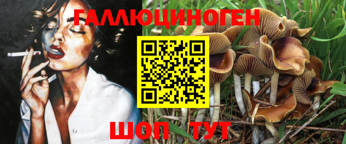 Псилоцибиновые грибы Cubensis  где купить наркоту  Серпухов  Вход с VPN  Галлюциногенные грибы мухоморы 